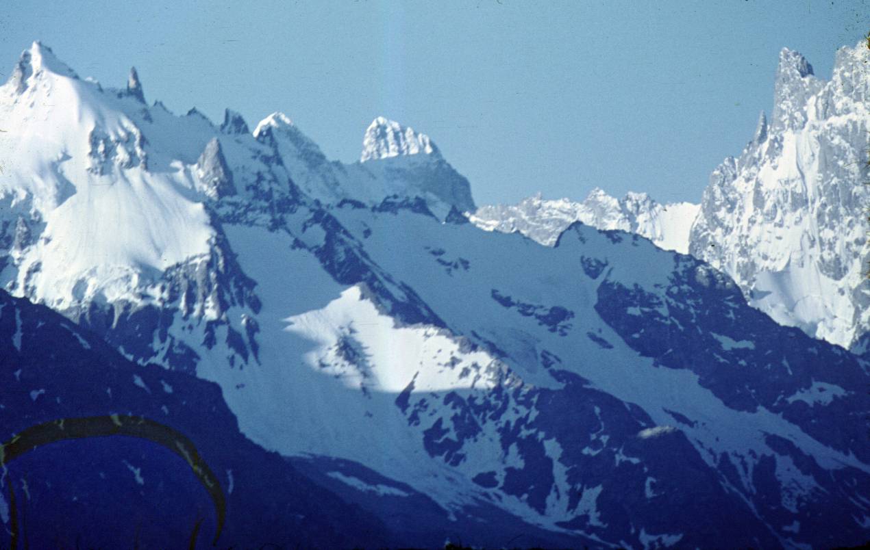 157.JPG
