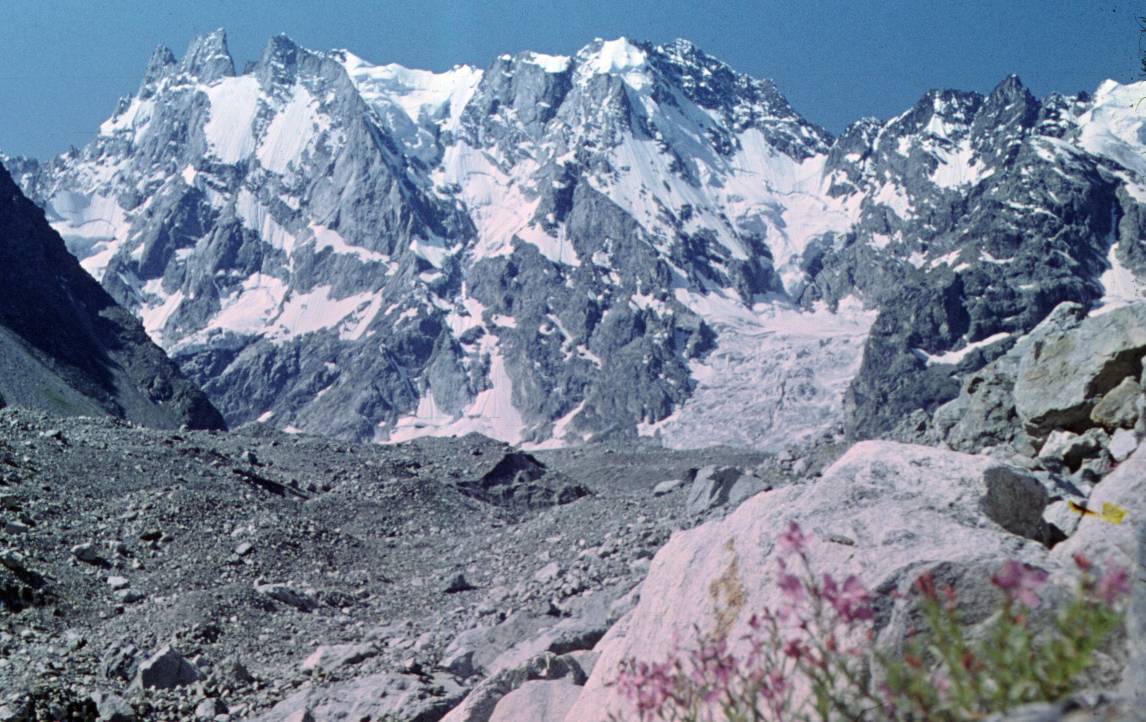161.JPG