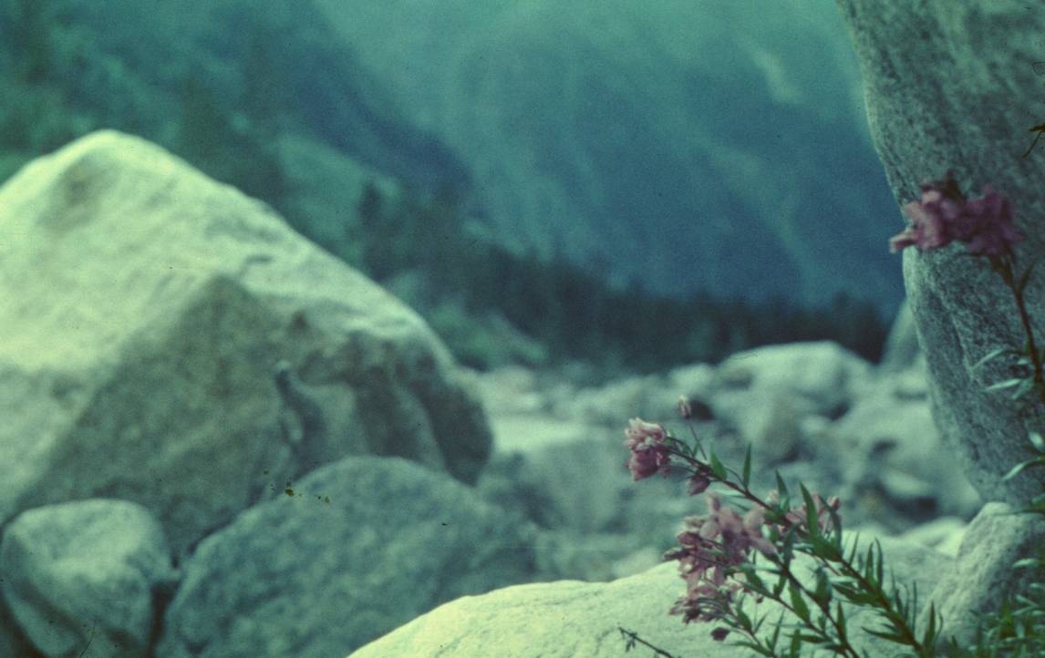 162.JPG