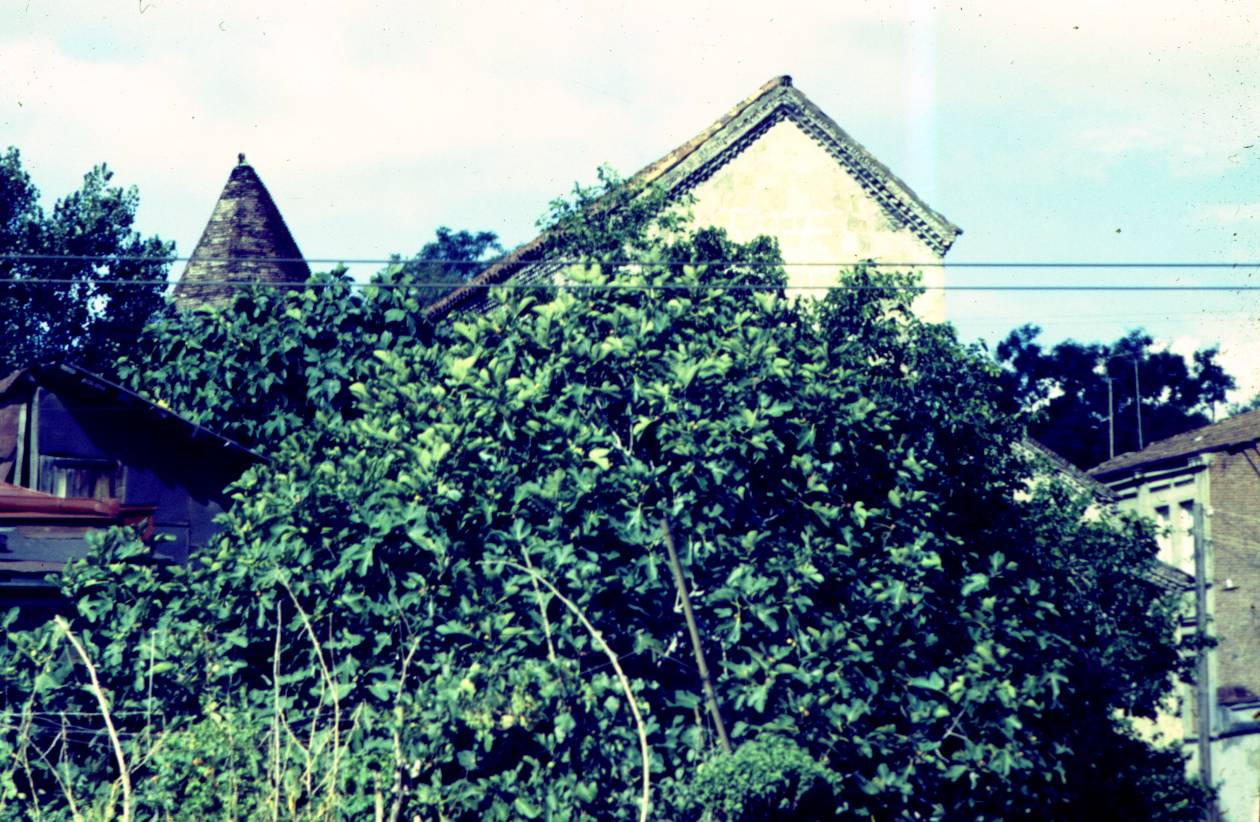 123.JPG