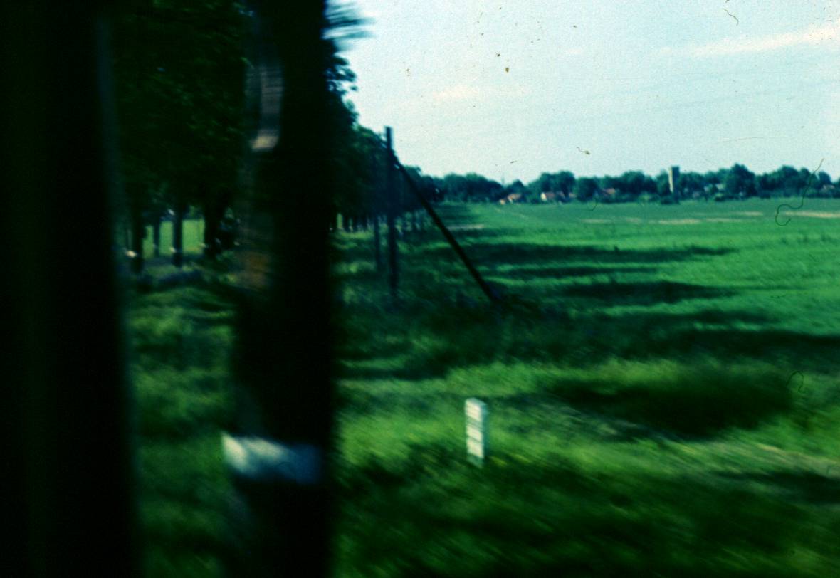 004.JPG