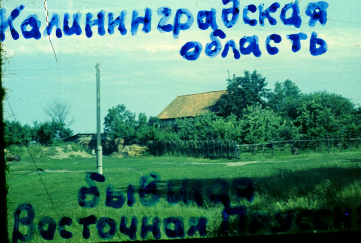 005.JPG