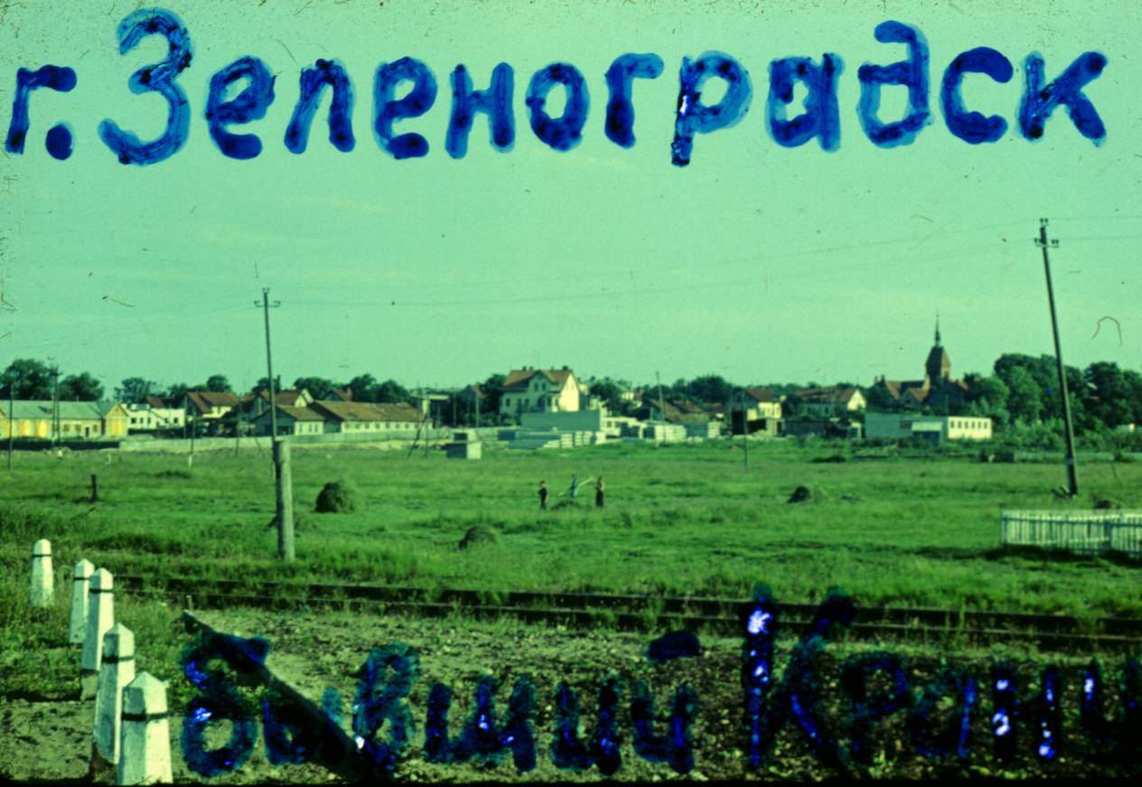 008.JPG