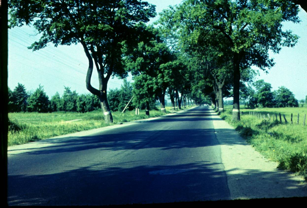 009.JPG