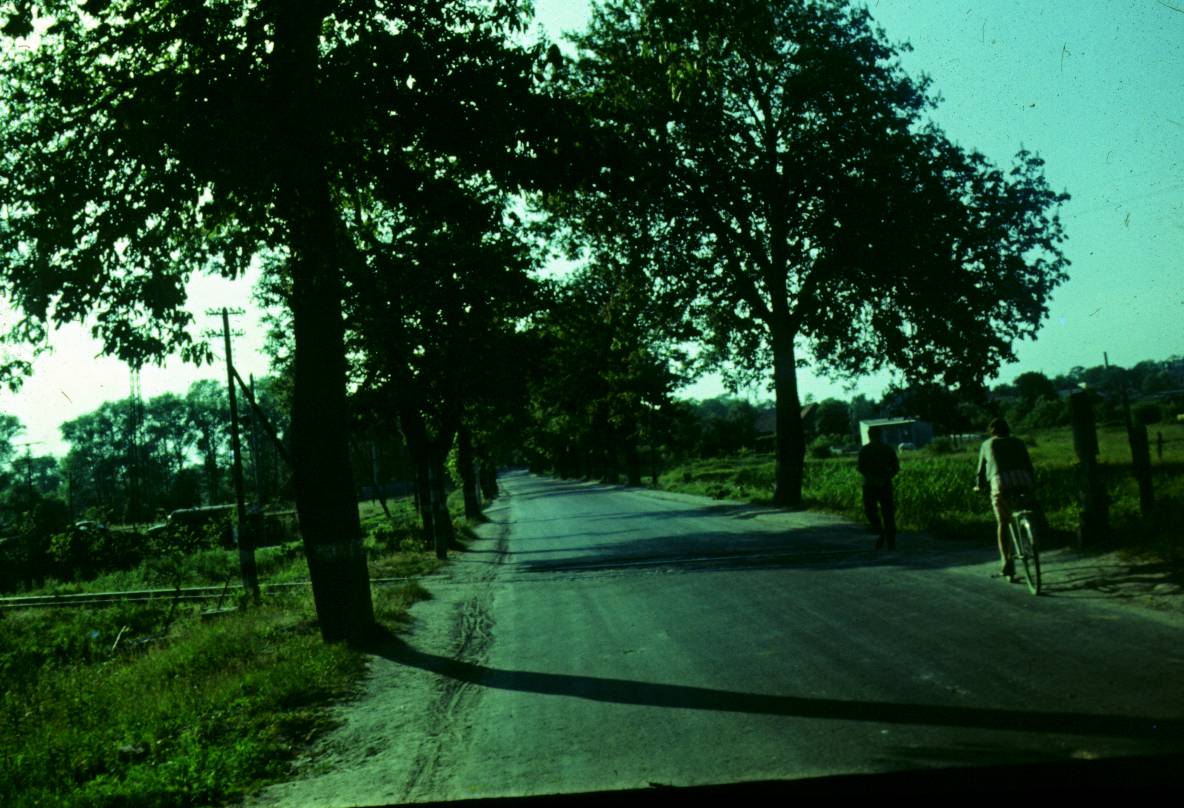 011.JPG