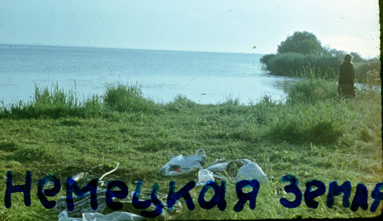 022.JPG