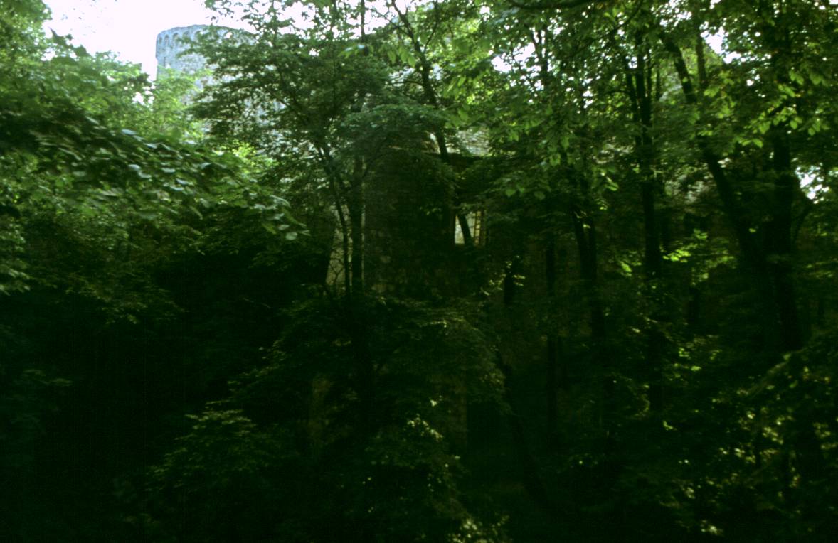050.JPG