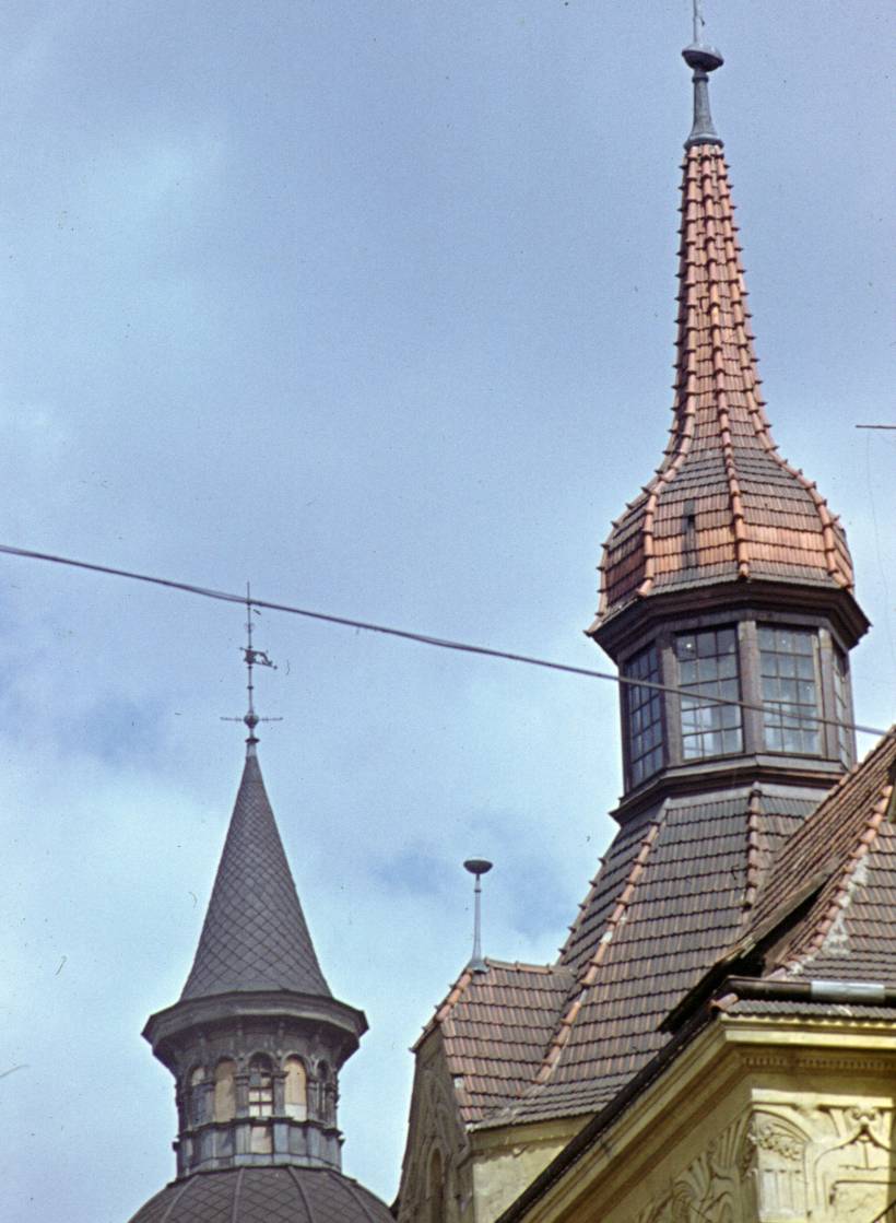 060.JPG