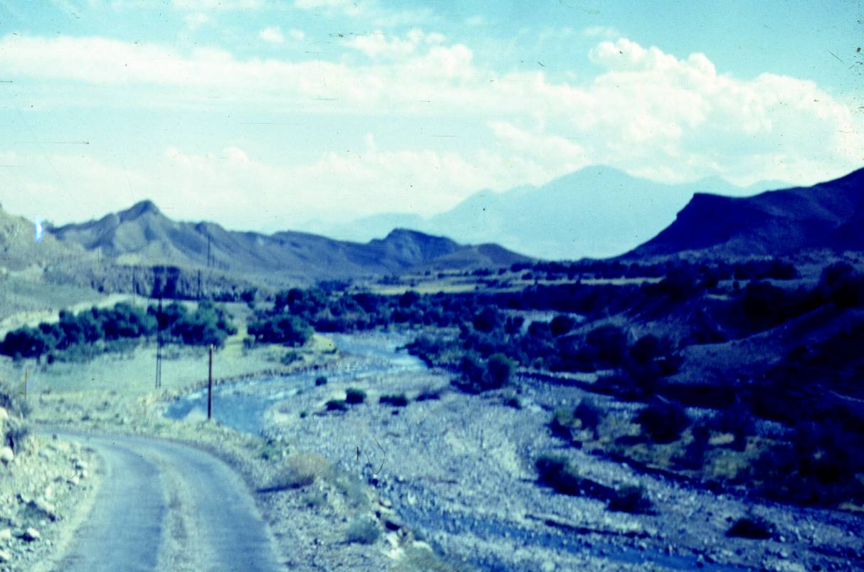 008.JPG