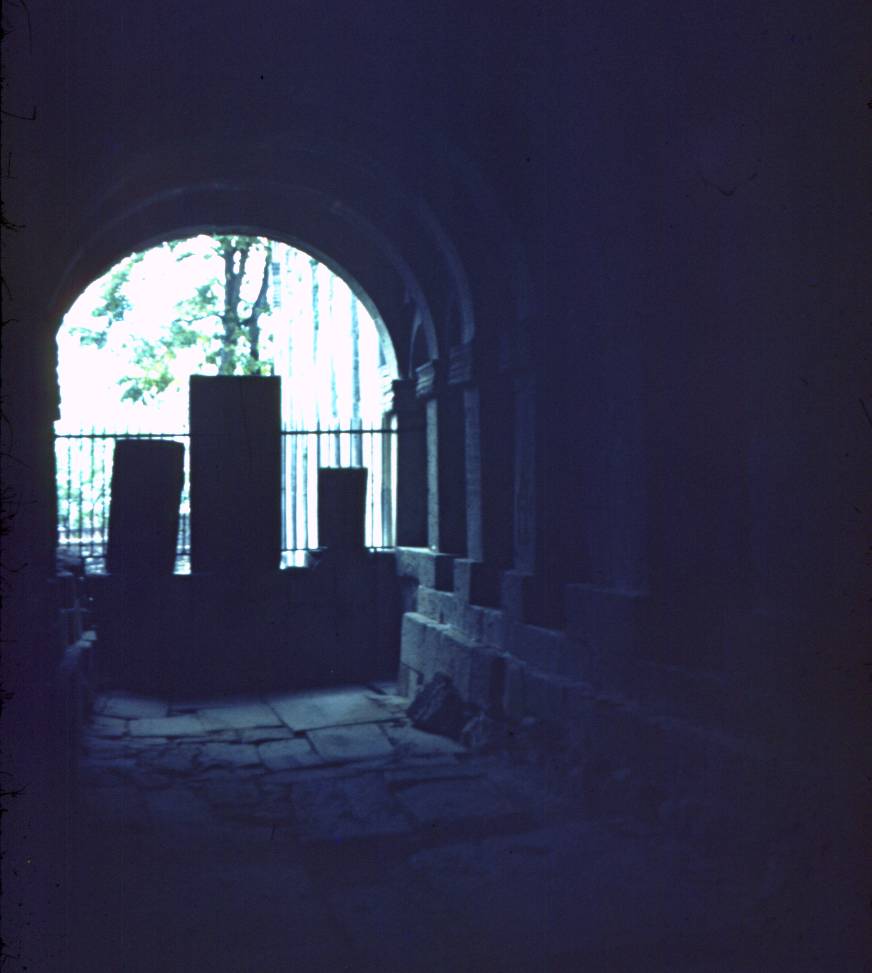 040.JPG