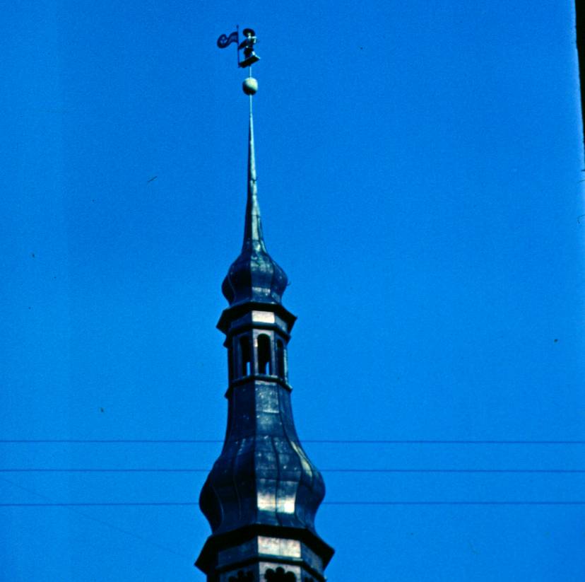 032.JPG