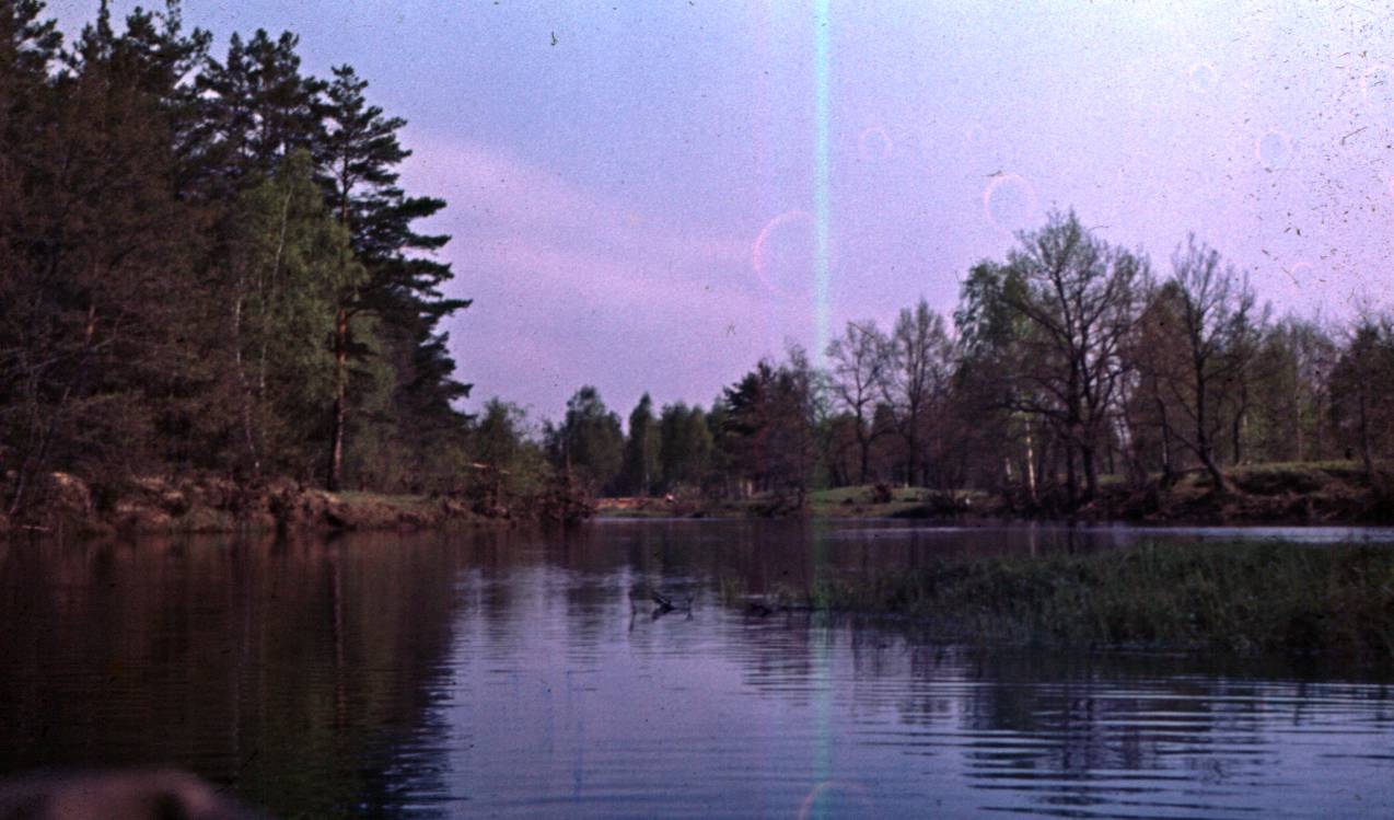 135.JPG