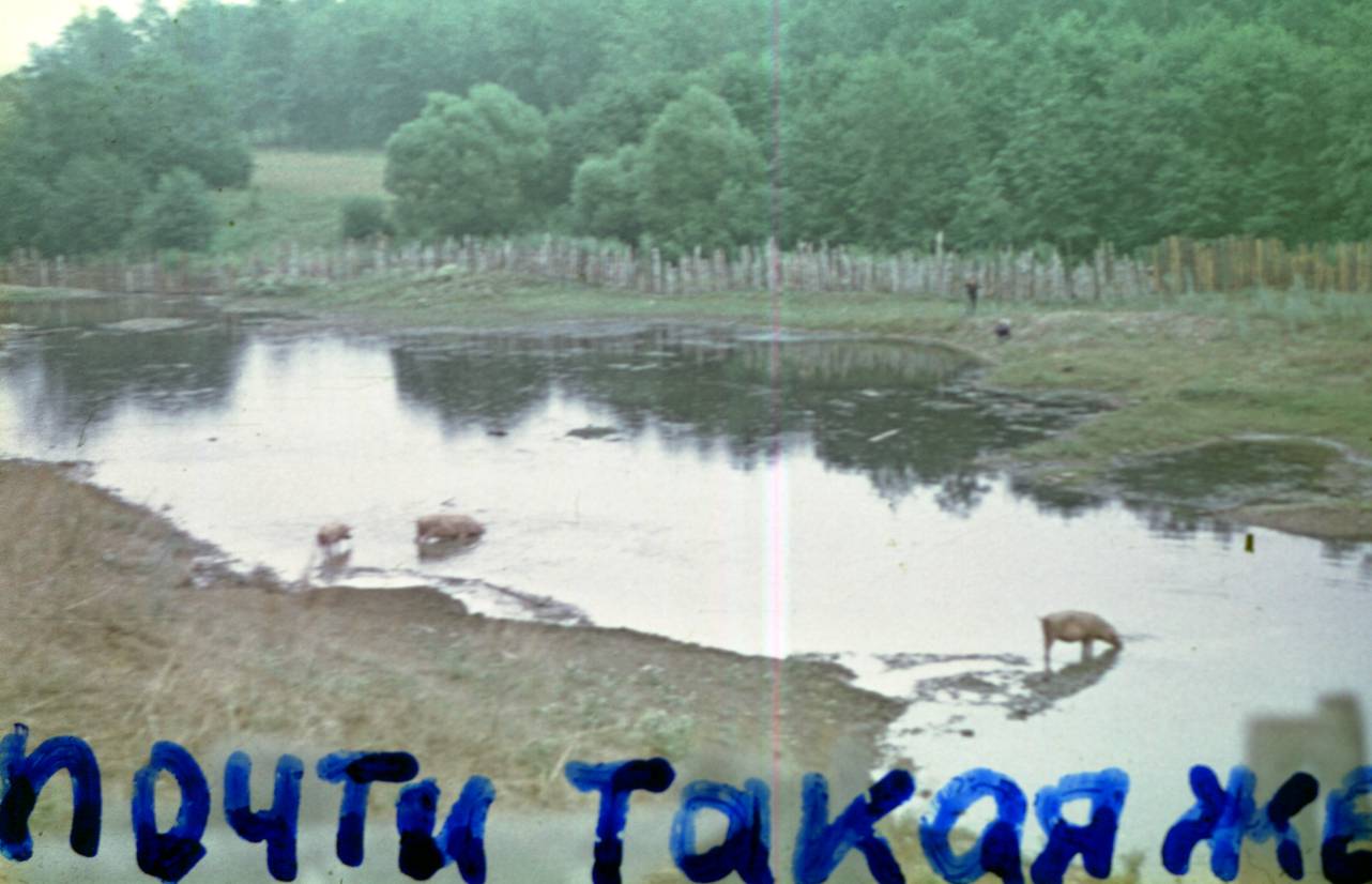 161.JPG