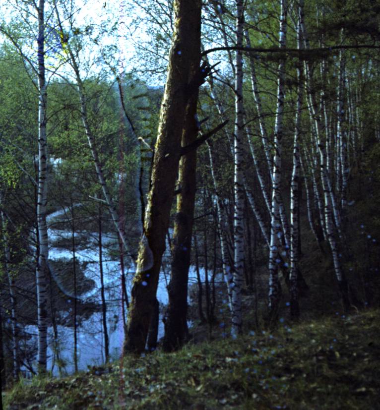 166.JPG