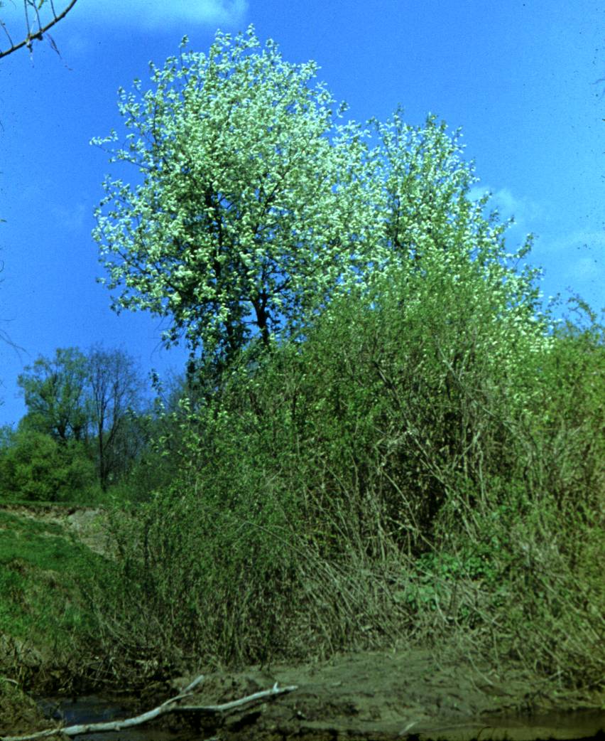 173.JPG