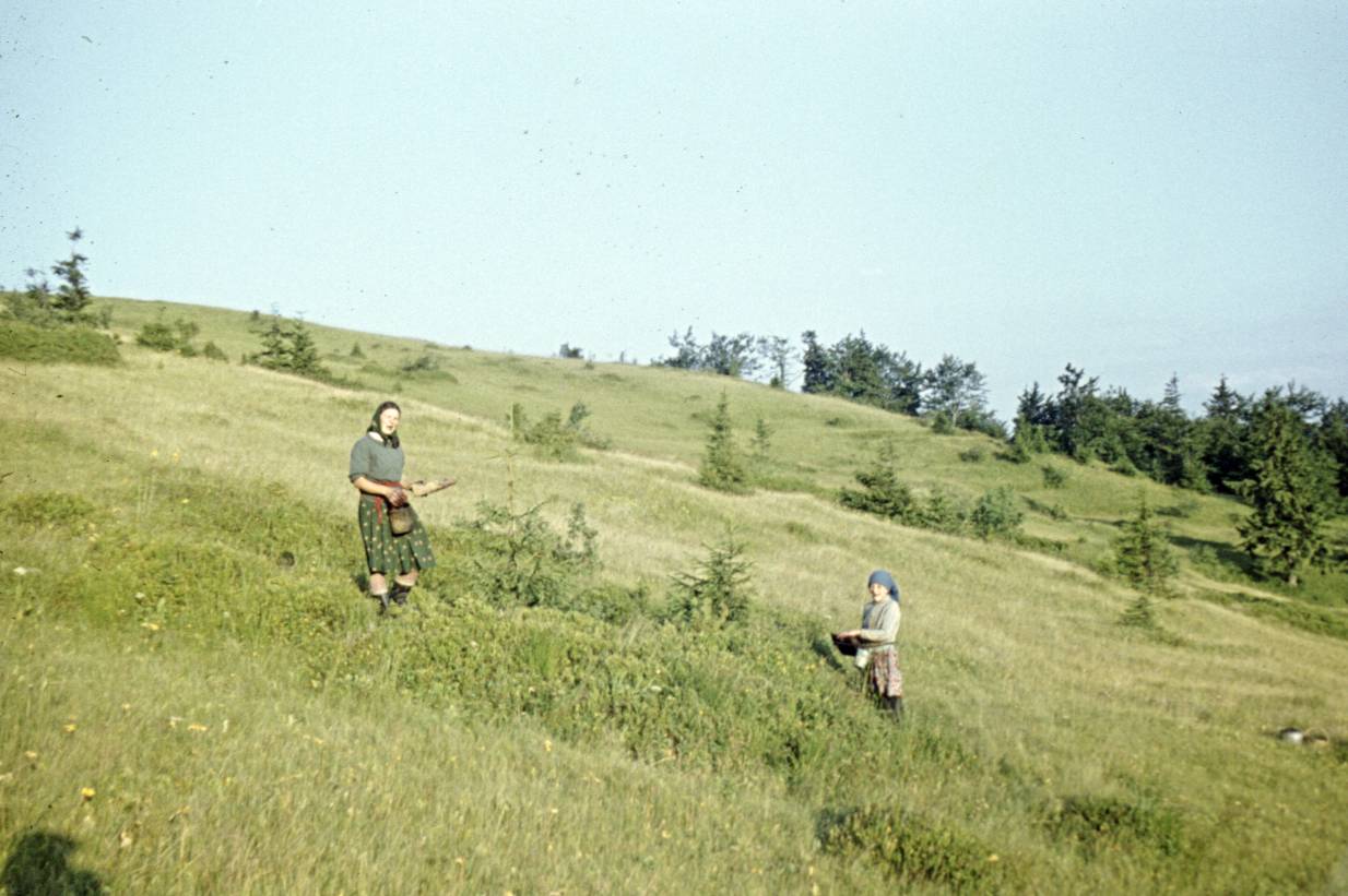 030.jpg