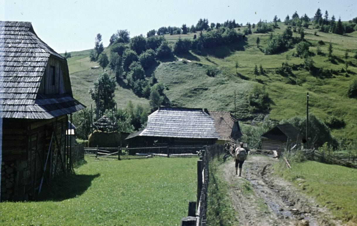 041.jpg