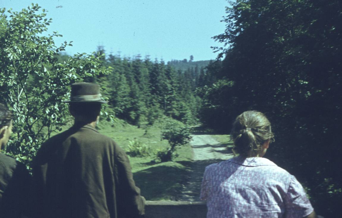 070.jpg