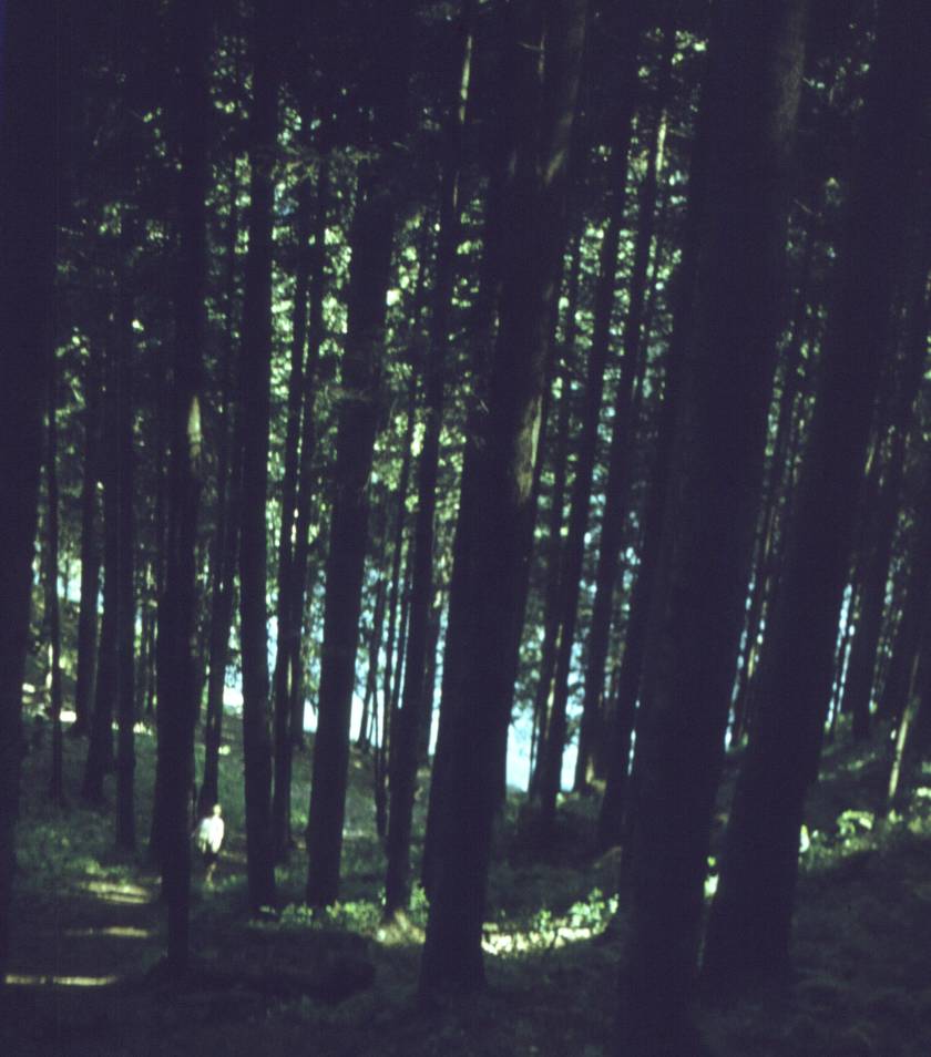 072.jpg