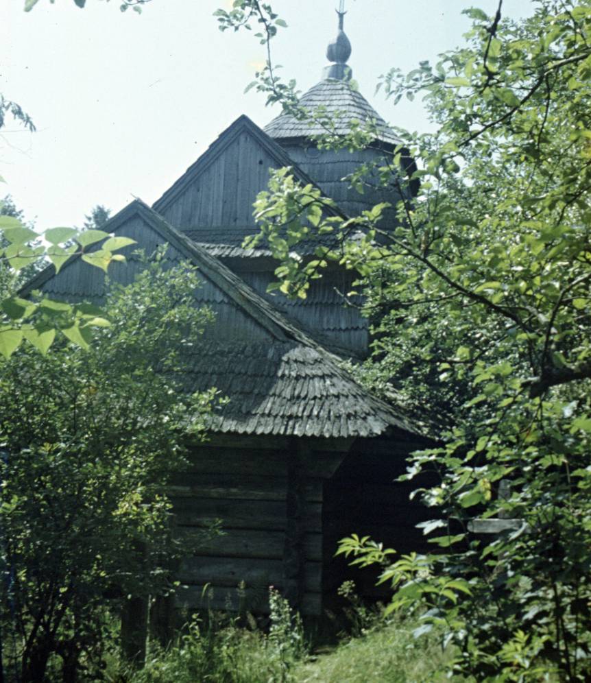 110.jpg
