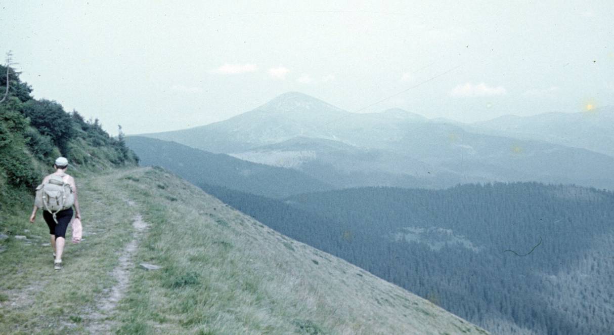 119.jpg
