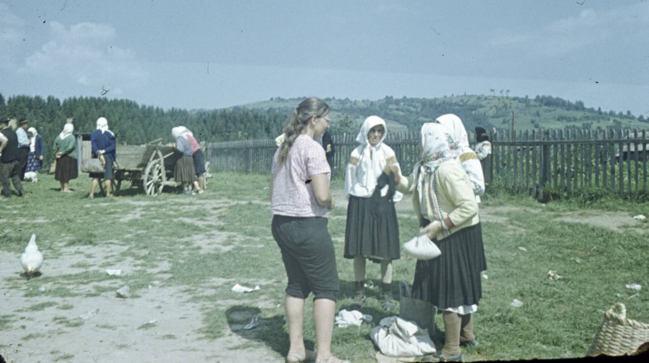 146.jpg