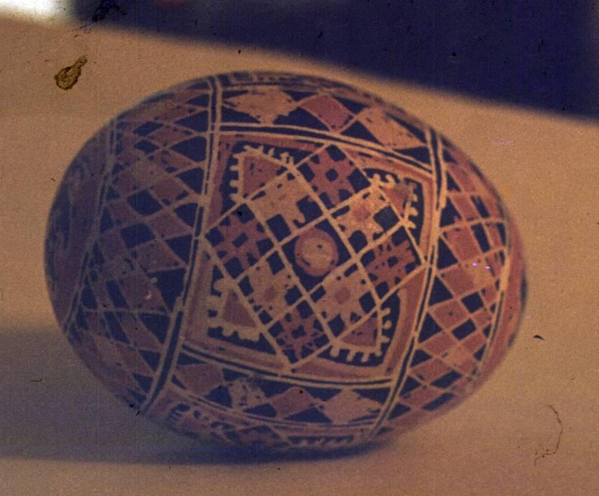 148.jpg