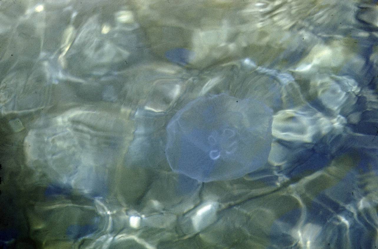 051.jpg
