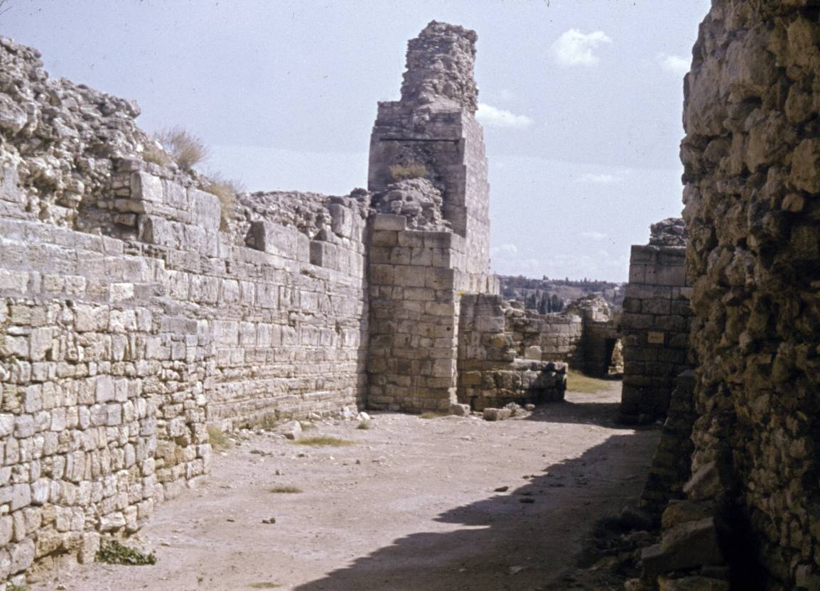 105.jpg