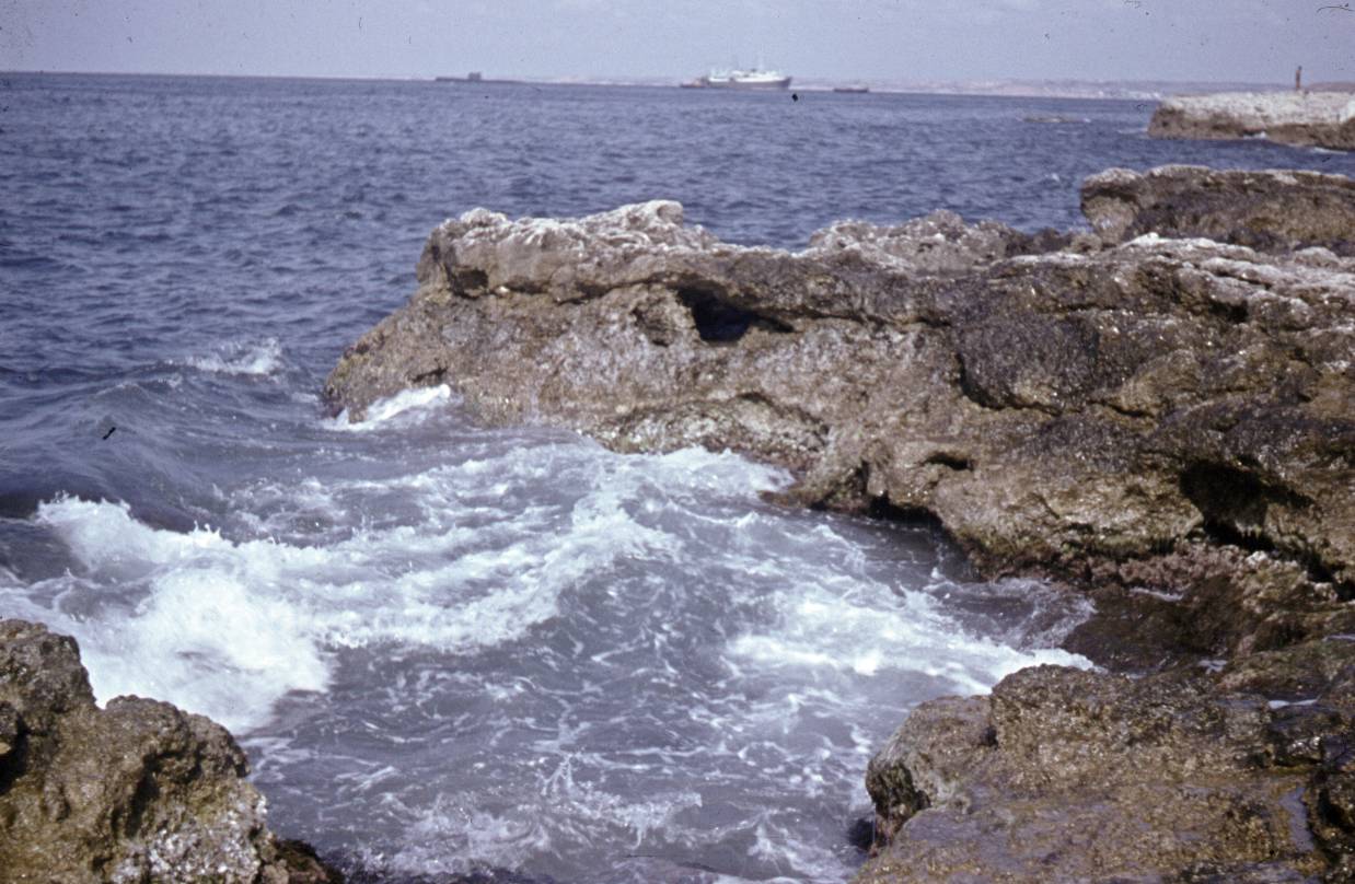 113.jpg