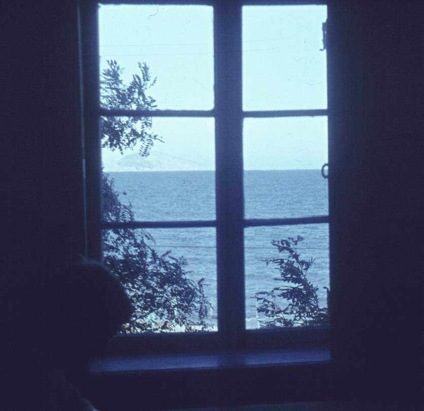144.jpg
