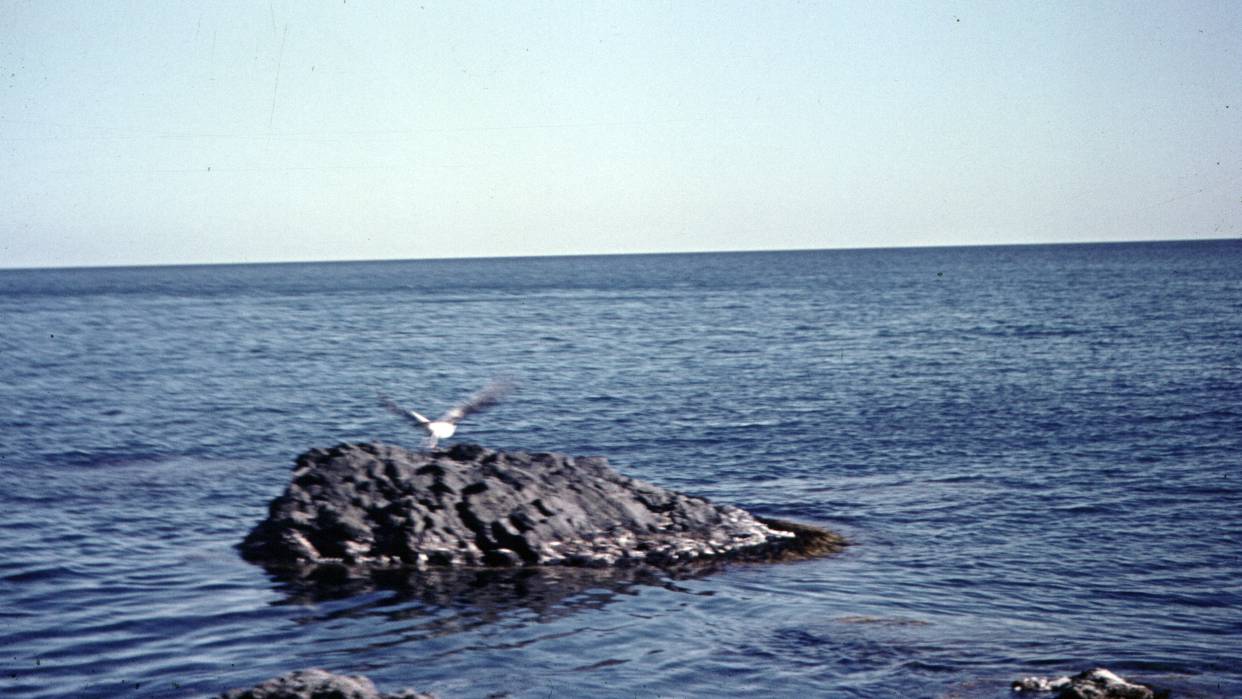 163.jpg