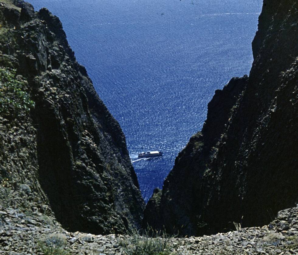 164.jpg