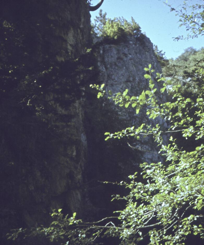 048.jpg