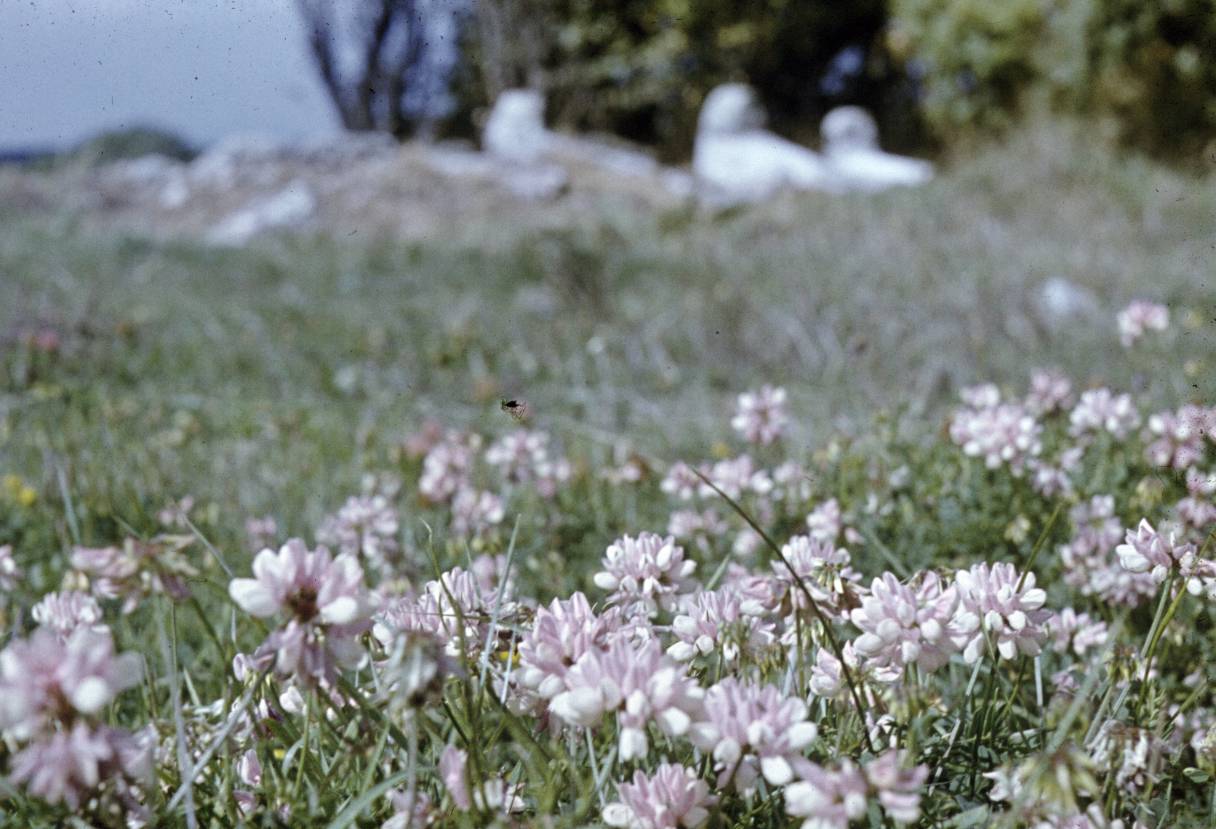 075.jpg