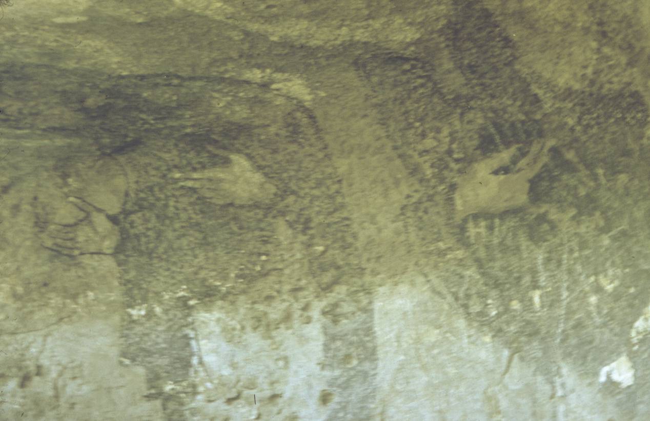 114.jpg