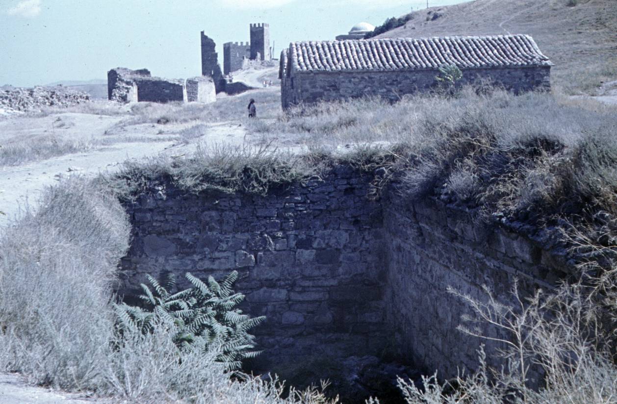 143.jpg