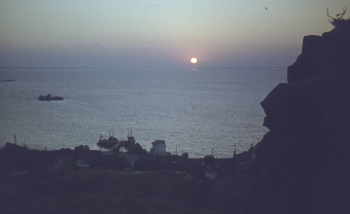 010.JPG