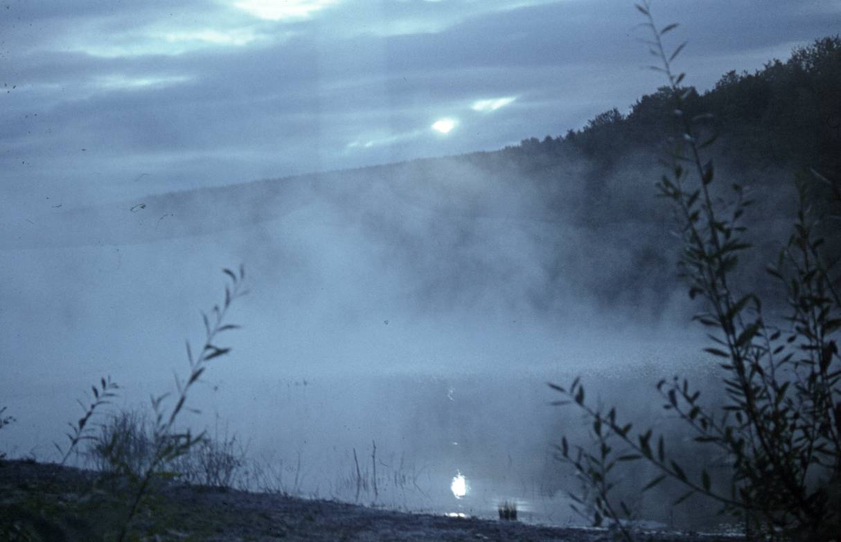 019.JPG
