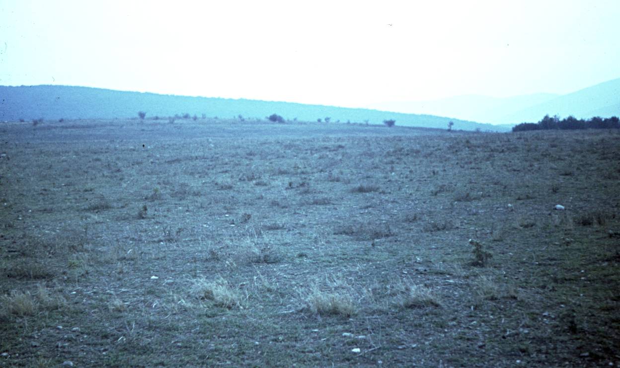 030.JPG