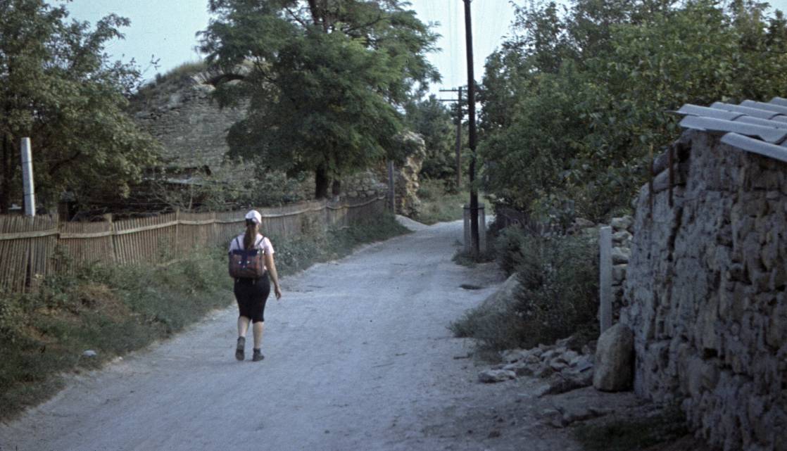040.JPG