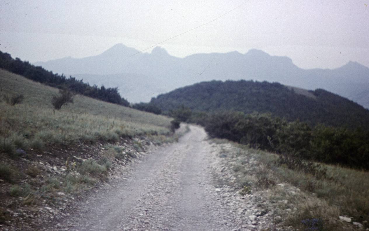 138.JPG