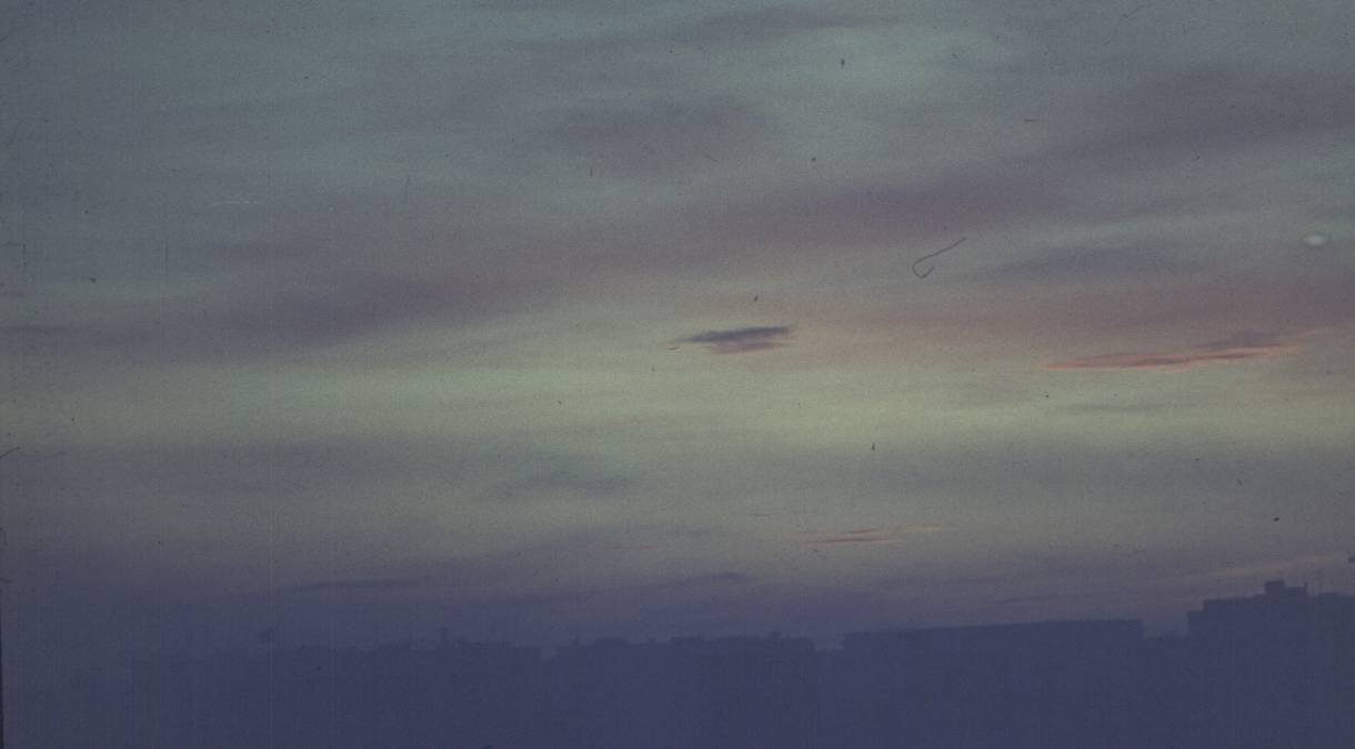 144.JPG