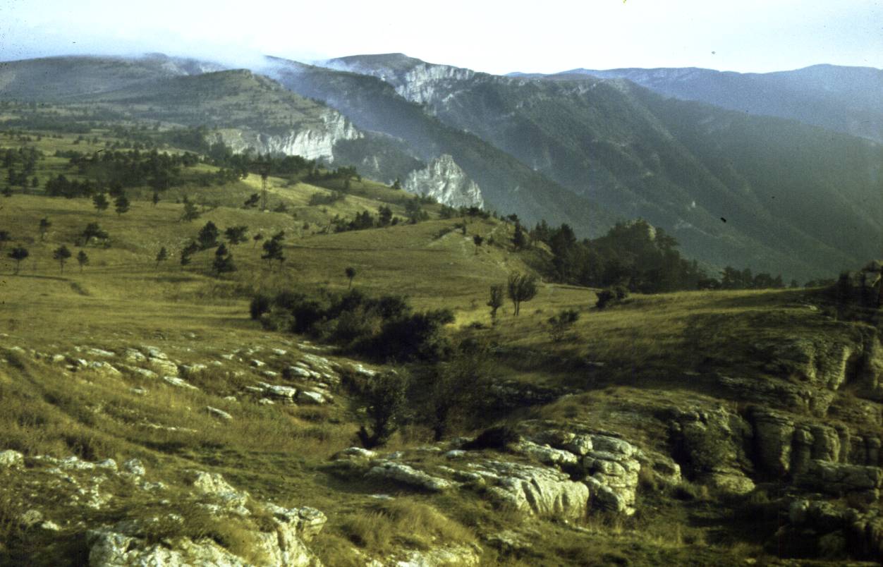 146.JPG