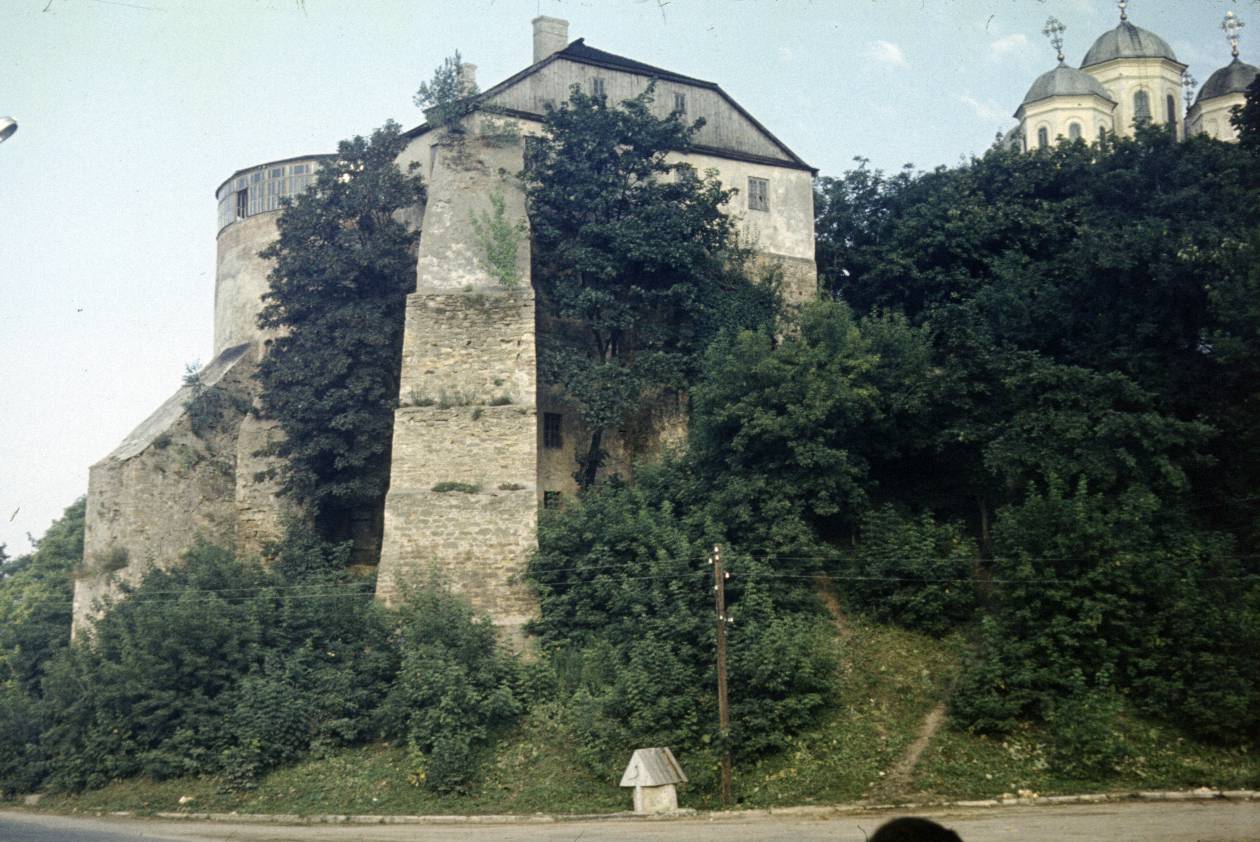 103.jpg