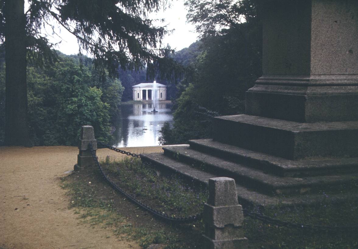 110.jpg