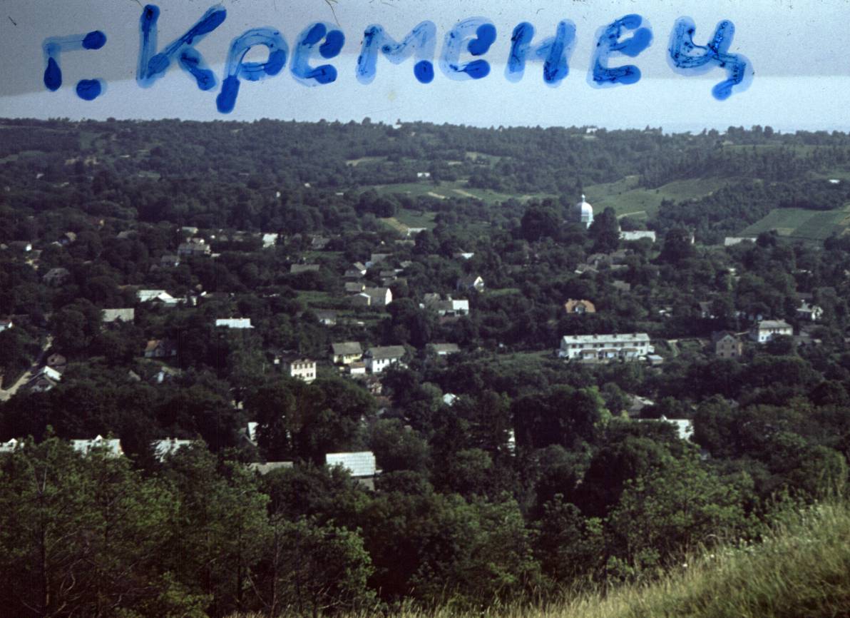 163.jpg