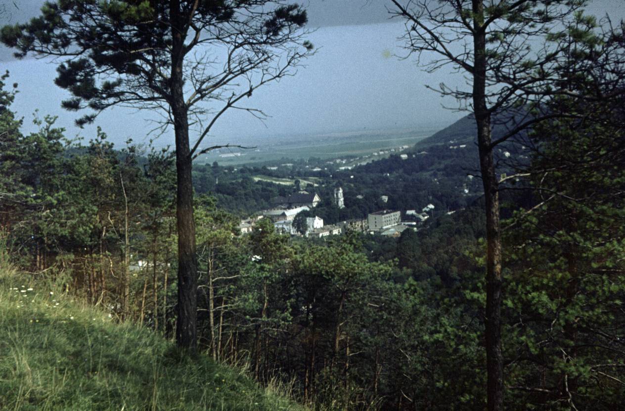 176.jpg