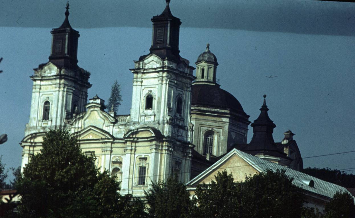 184.jpg