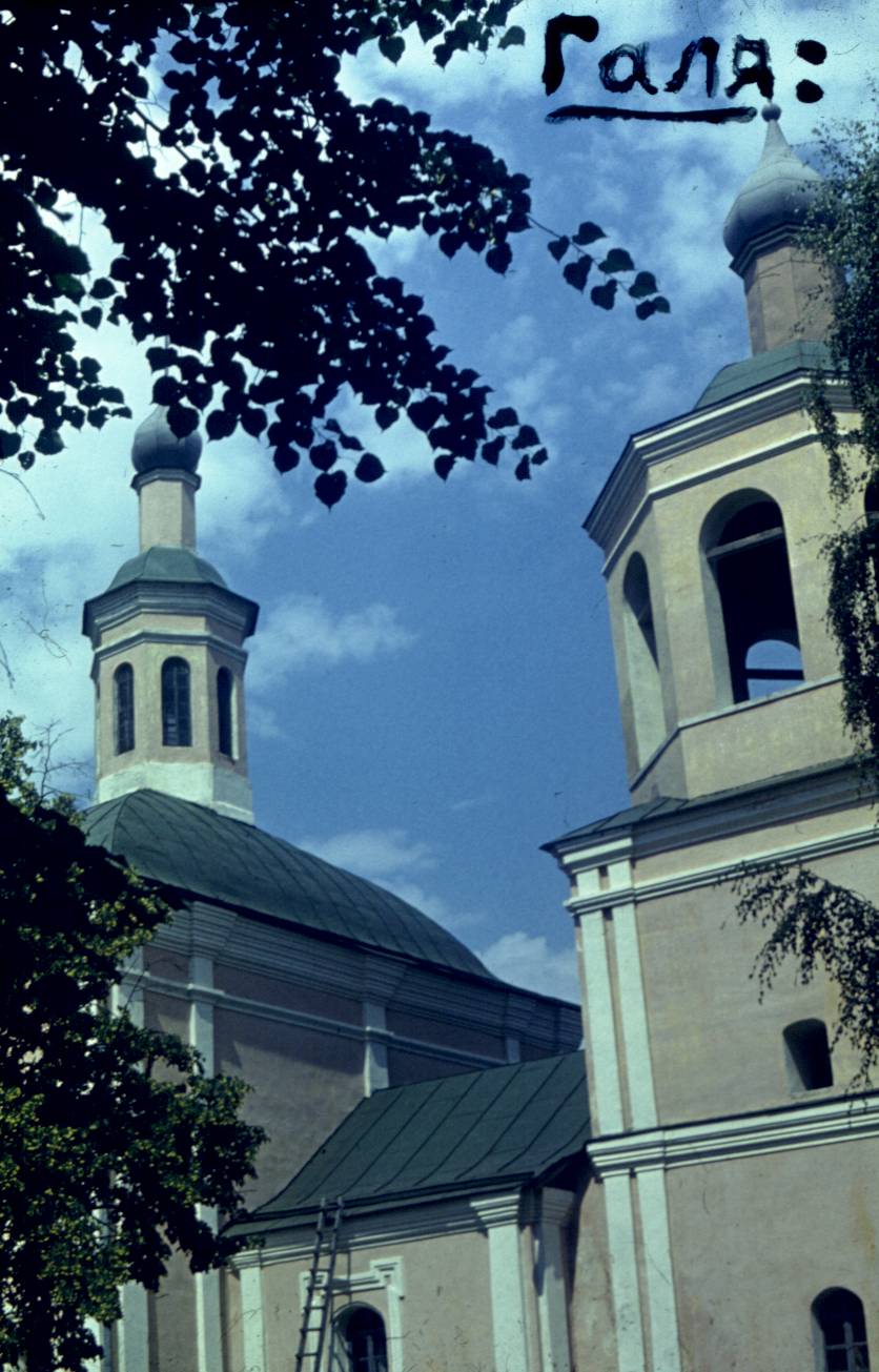 155.jpg